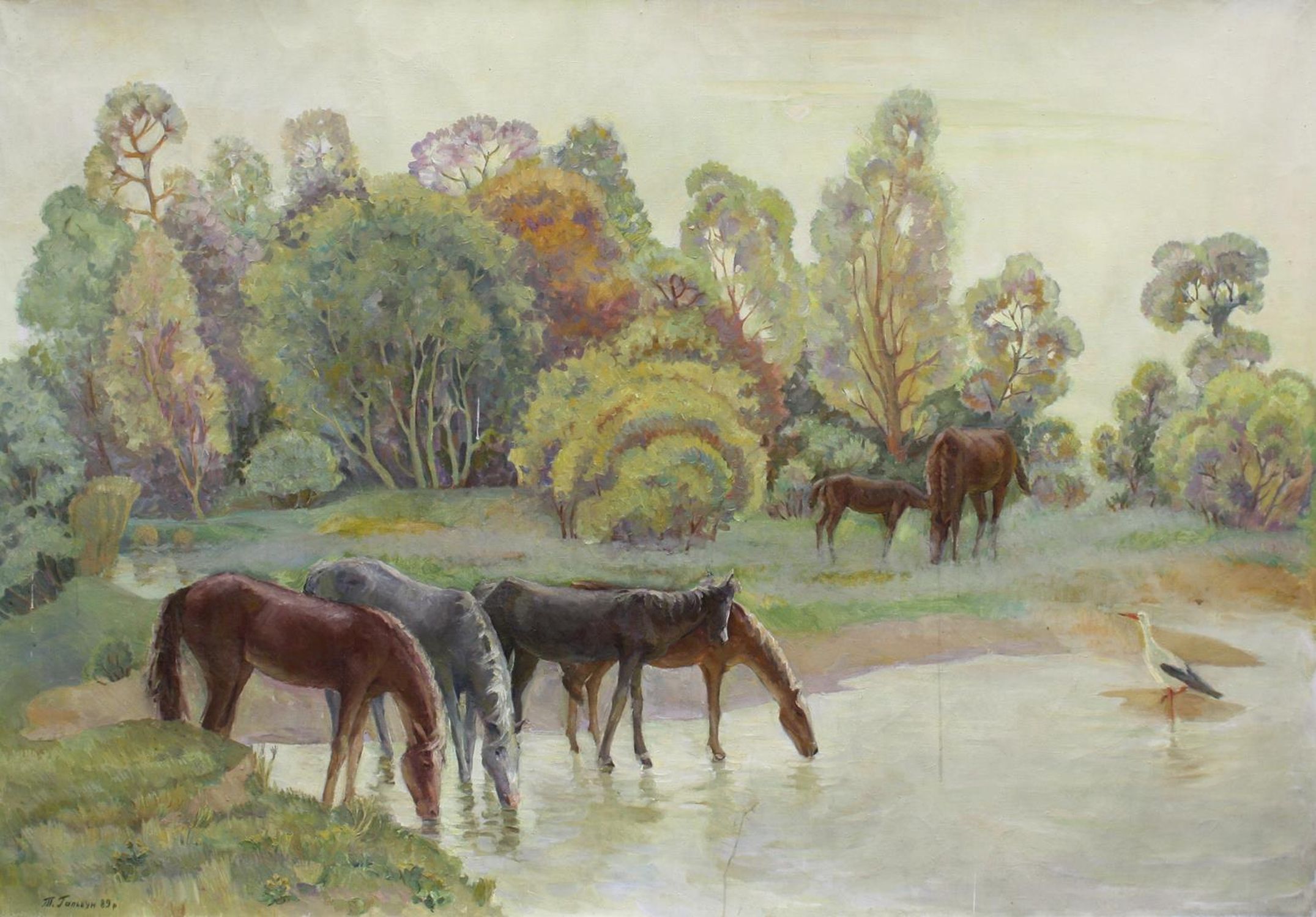 "Herd of horses"