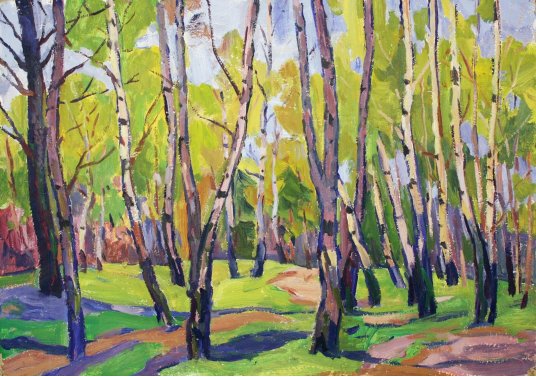 "Birch trees in the forest"