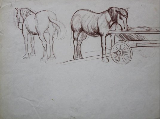 "Horse near cart"