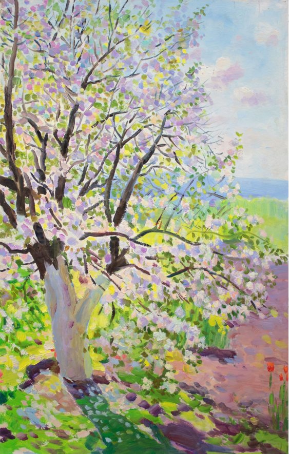 "Apple tree in bloom"