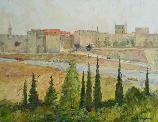 "A view of the gates of Jerusalem Jafa"