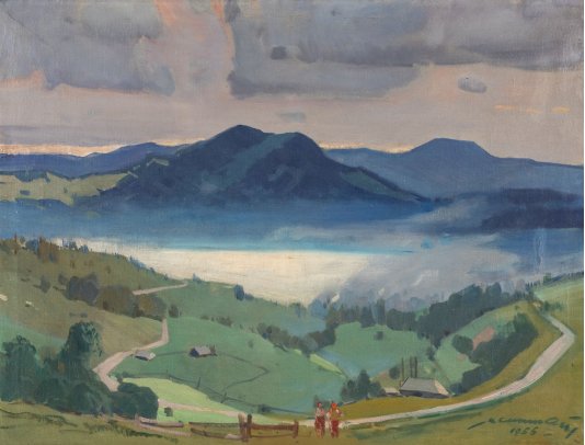 "View of Synevyr lake"