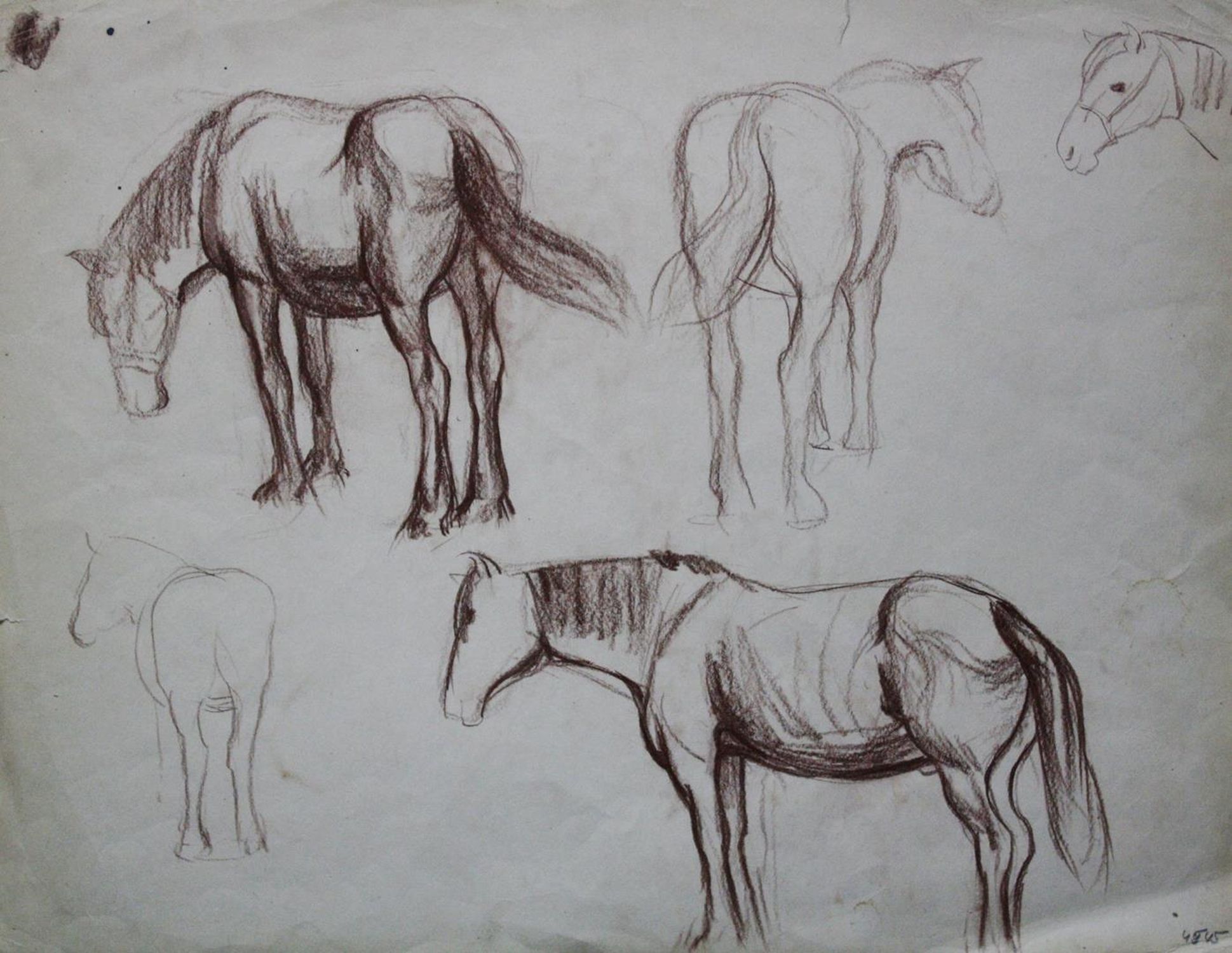 "Horses"