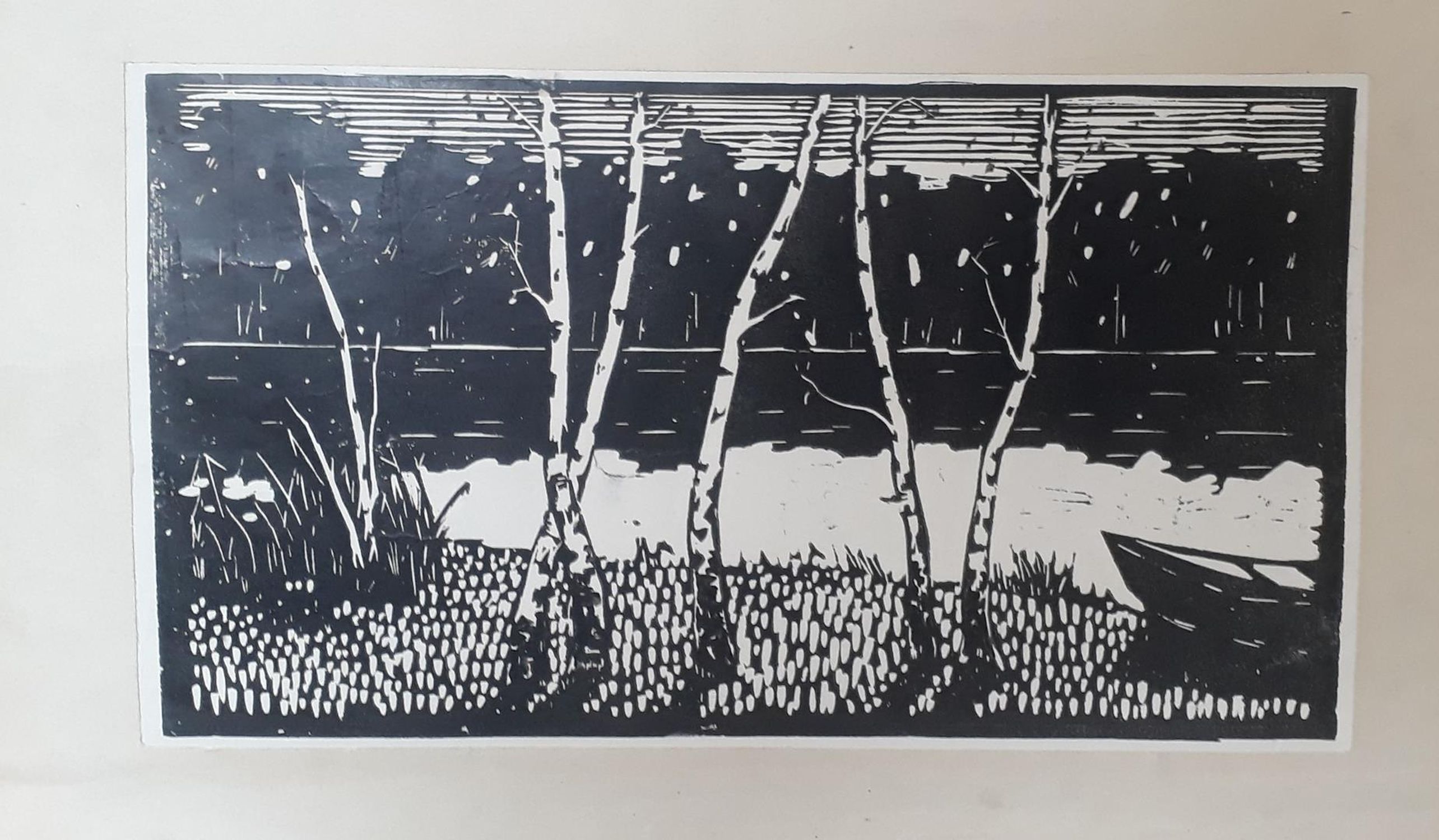 "Birches on the banks of the river"